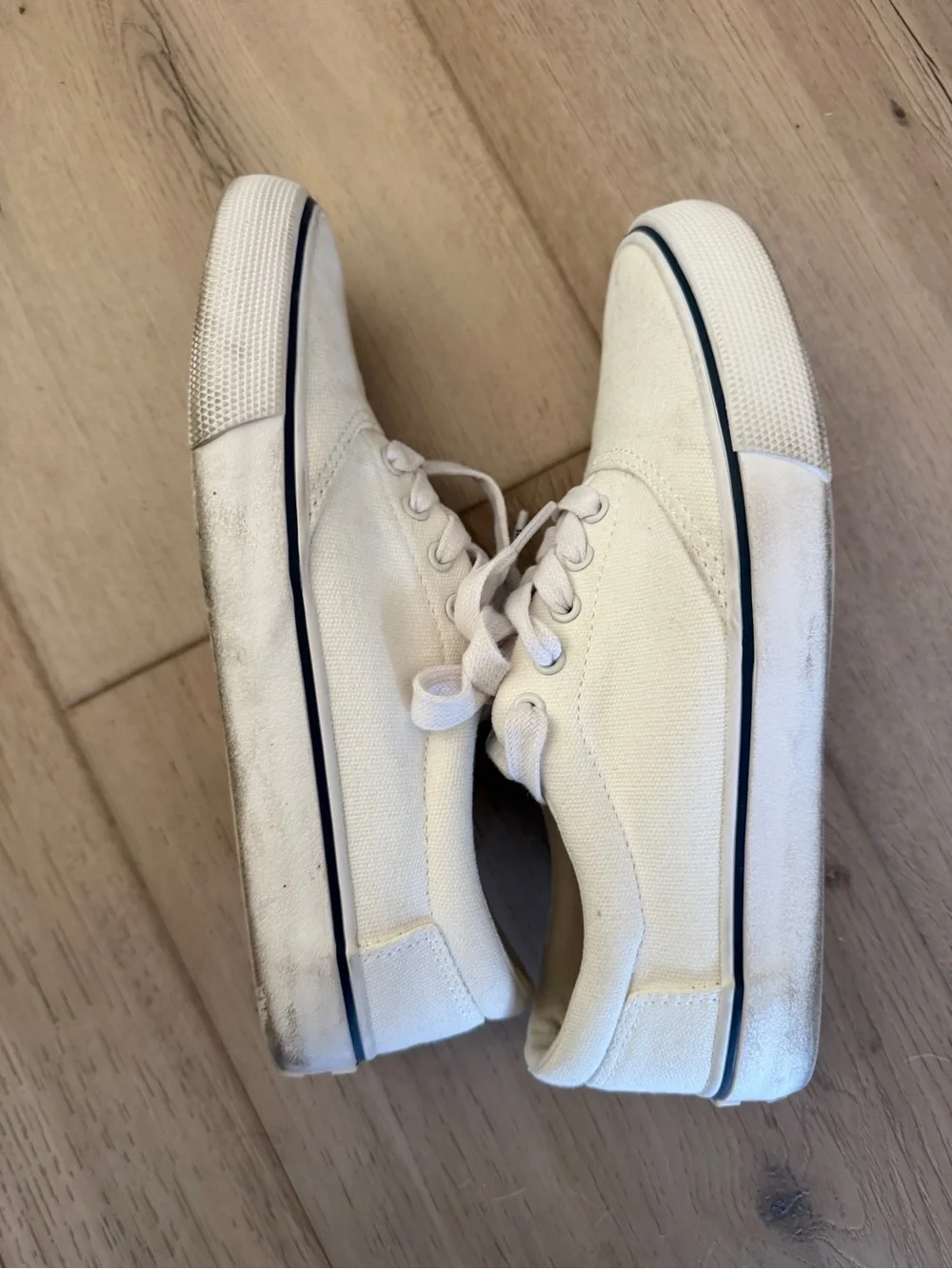Toms classic low